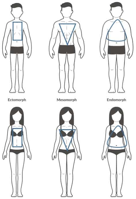 3 body types
